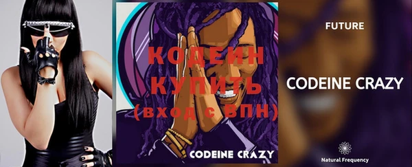 шишки Краснотурьинск