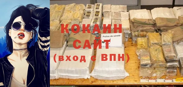шишки Краснотурьинск