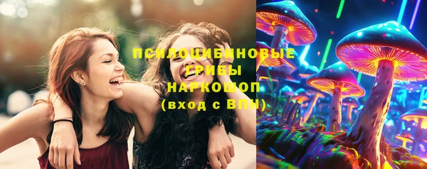 шишки Краснотурьинск