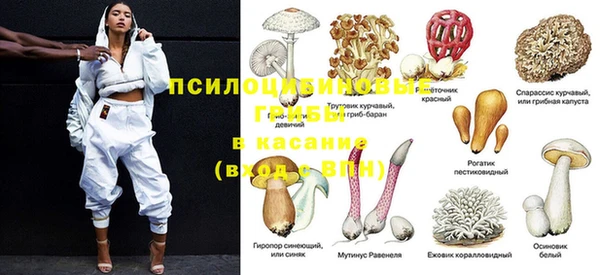 шишки Краснотурьинск
