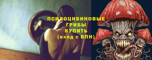 шишки Краснотурьинск