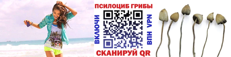 Псилоцибиновые грибы Magic Shrooms  ОМГ ОМГ сайт  Рубцовск 