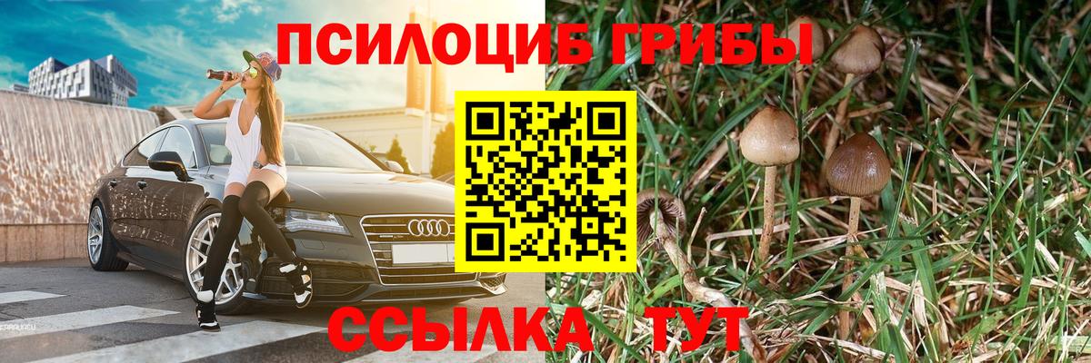 Гашиш Рубцовск