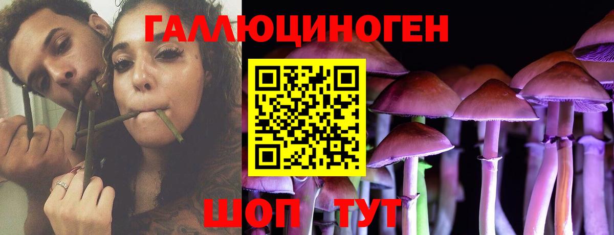Псилоцибиновые грибы MAGIC MUSHROOMS  Галлюциногенные грибы мицелий  Рубцовск  Вход с VPN 