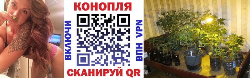 hydra ТОР  Рубцовск  Каннабис White Widow 